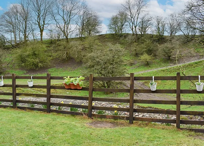 Beck Foot * סדברג